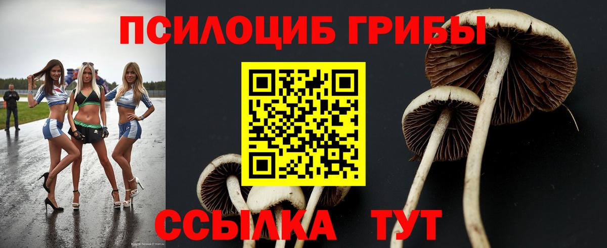 Галлюциногенные грибы MAGIC MUSHROOMS Ахтубинск