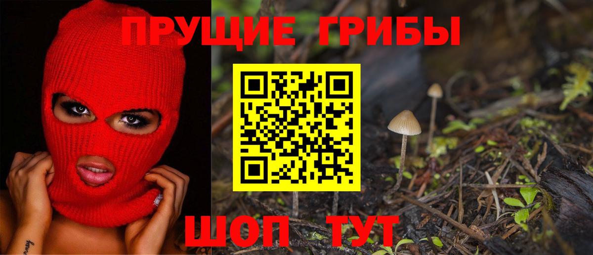 Ахтубинск  Галлюциногенные грибы Magic Shrooms  Вход с VPN 